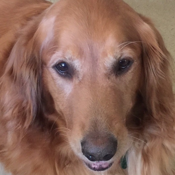 Meet your Posher, Nancy - Picture 1 of 1